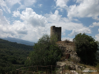 nnizzu-28-08-2022 12-37-56